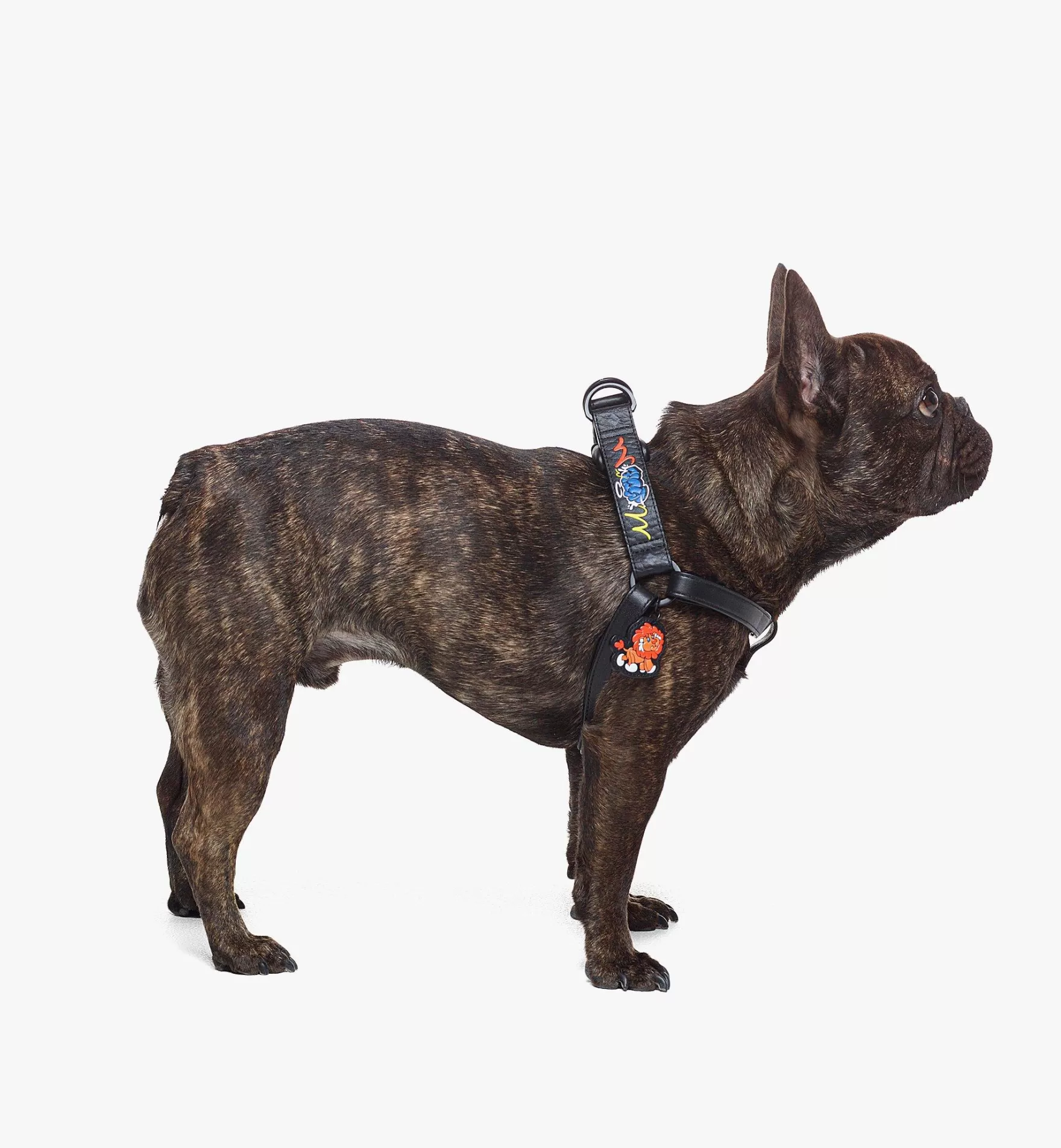 Hot Haru, Henry, Kaiser Hundegeschirr In Visetos Haustier-Accessoires