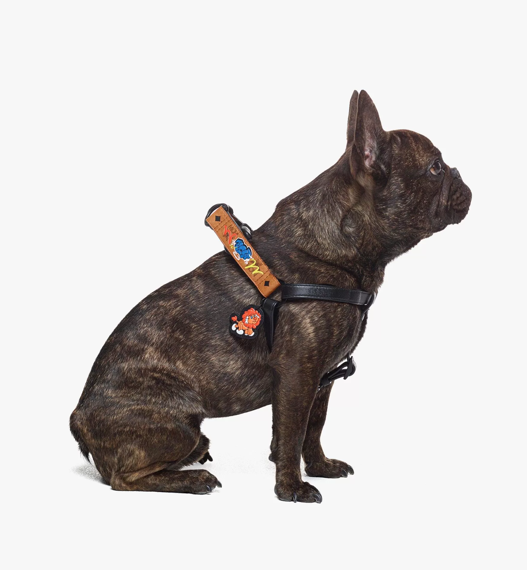 Best Haru, Henry, Kaiser Hundegeschirr In Visetos Haustier-Accessoires